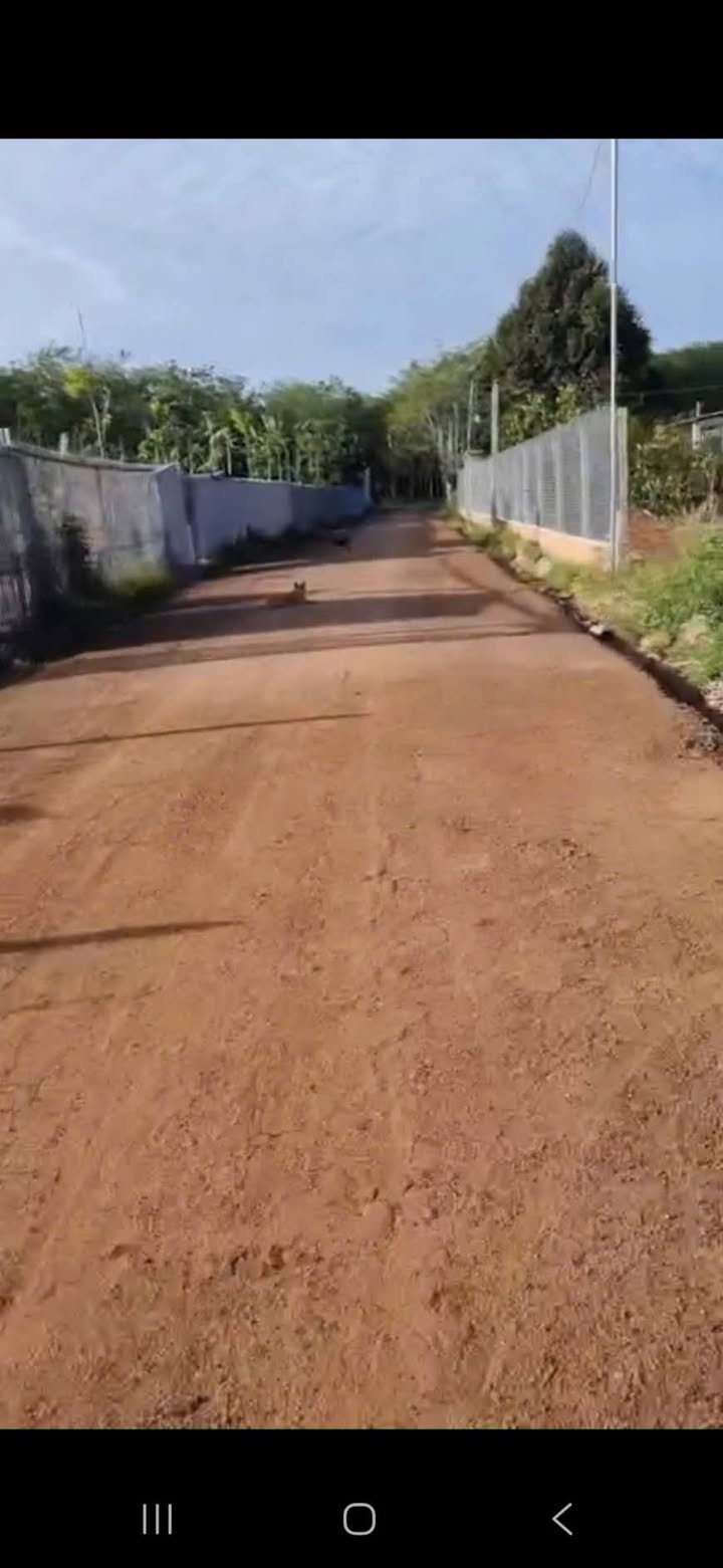 Đất Vườn/Kho Bãi 3400m² Mặt Tiền Bến Tượng, Bến Cát - Giá Đầu Tư 4 Tỷ