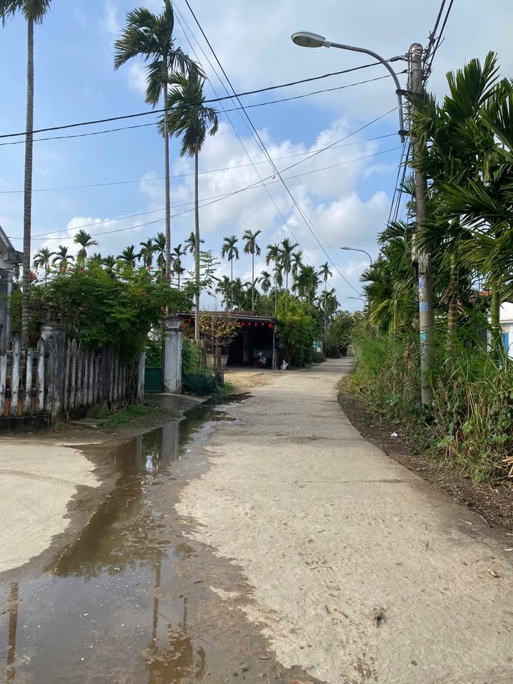 Đất Vườn Nghĩa Dõng 240m² - Đường Ô Tô, Dân Cư Đông Đúc - Giá 1 Tỷ