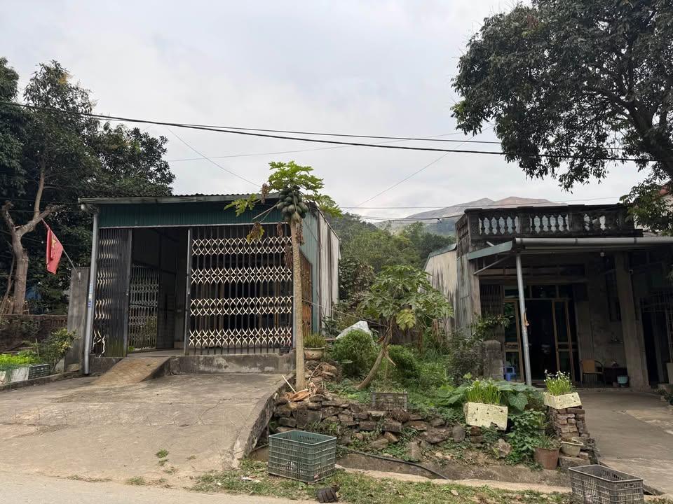 Bán Gấp Lô Đất 120m² Xã Bản Vược, Lào Cai - Giá Cắt Lỗ