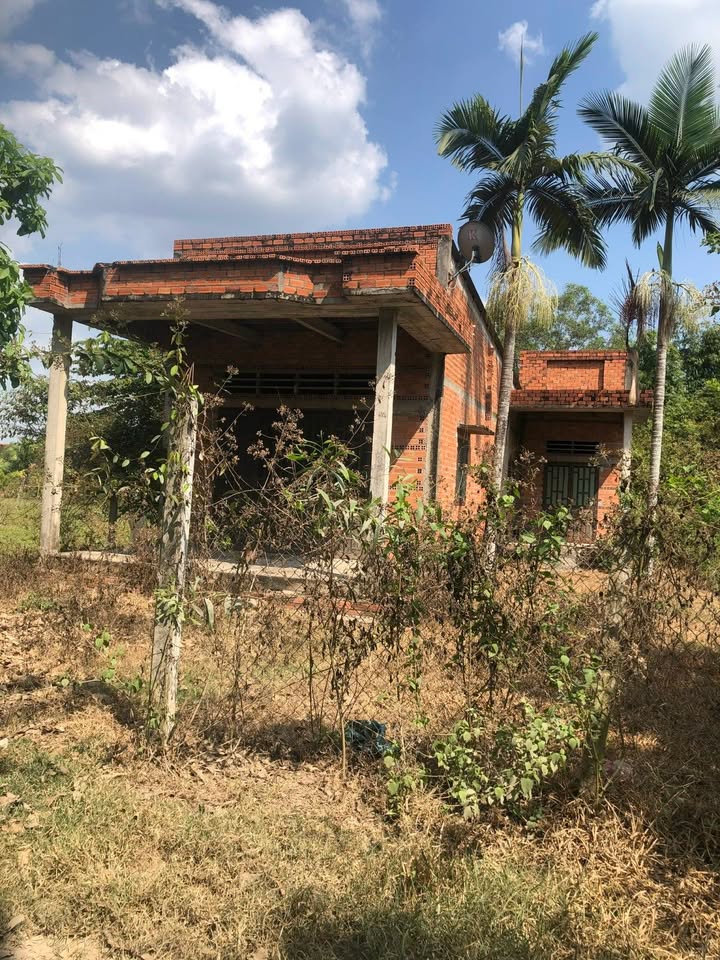 Đất Thổ Cư 528m² Sổ Hồng Xã Đức Hòa Thượng - Giá 2.65 Tỷ