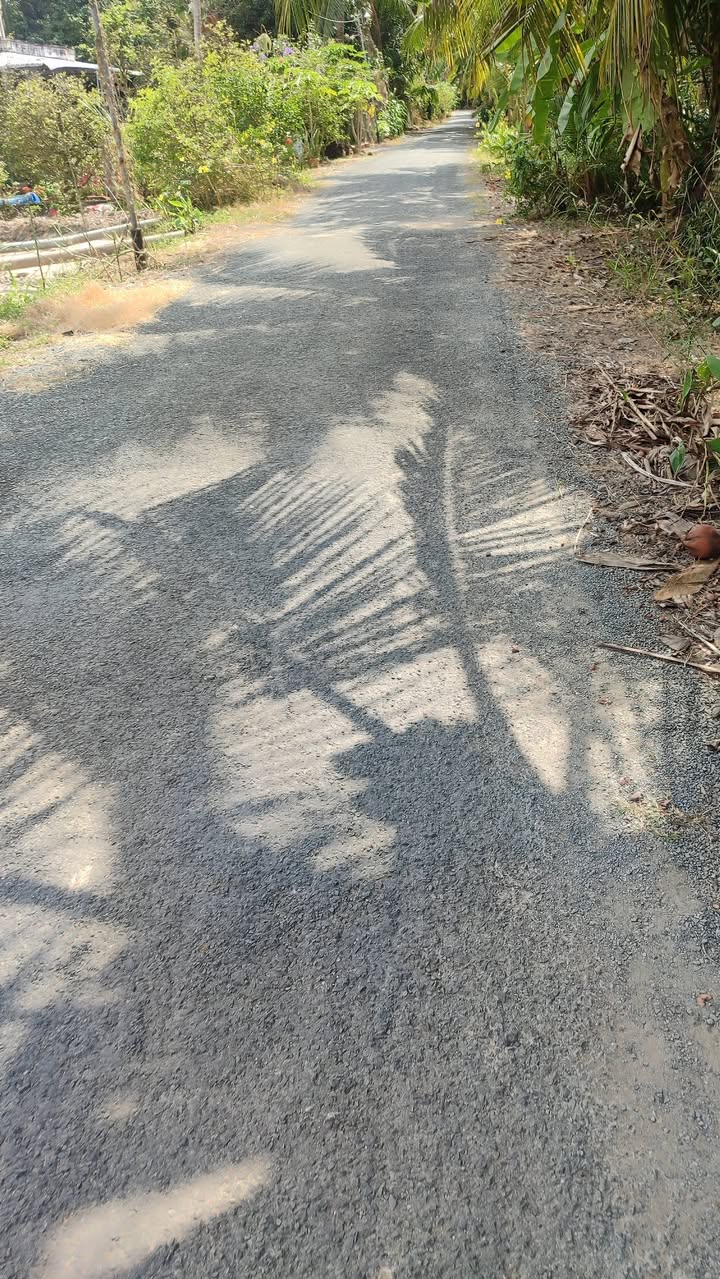 Đất Vĩnh Long 195m² - Mặt tiền đường 5 tấn, Tân An Hội, Mang Thít - 370 triệu