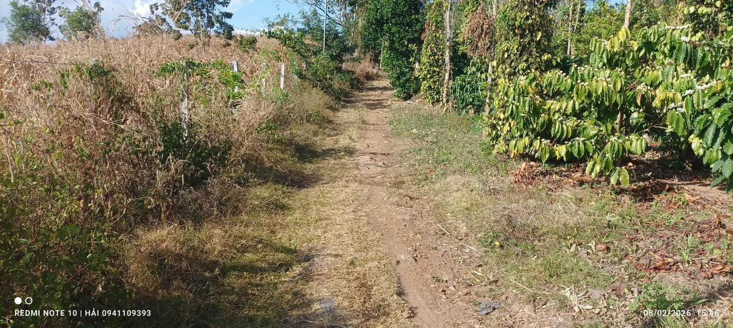 Đất nền Hòa Xuân, Buôn Ma Thuột 6300m² - Sổ đỏ chính chủ