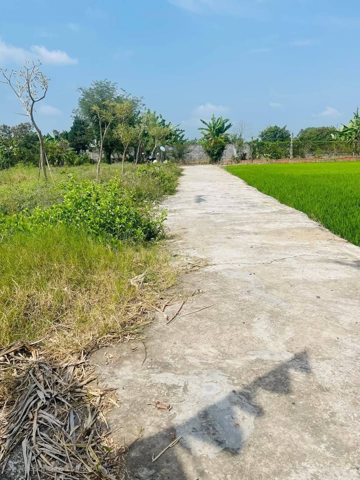 Đất Nền Gò Công 140m² - Đường to ô tô, giá chỉ 380 triệu!