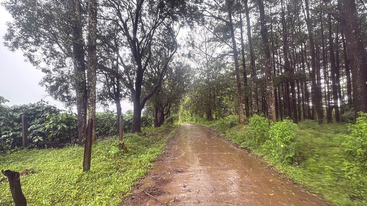 Đất Biển Hồ Pleiku 720m² 3 tỷ xxx - Tiềm năng tăng giá!