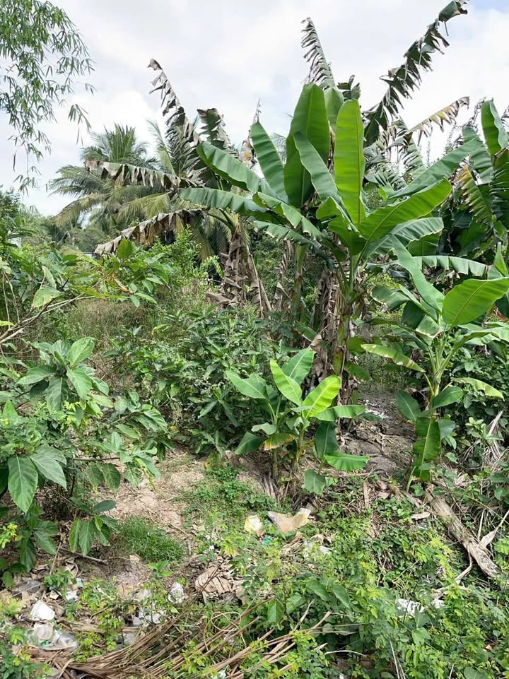 Đất nền Hẻm ô tô Vĩnh Châu 162m² - Đất thổ cư 100%