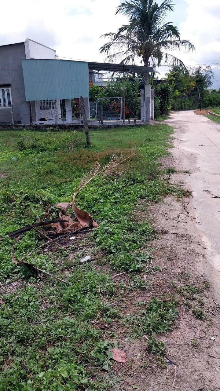 Đất Vườn 3444m² Giồng Cà, Tây Ninh - Sổ Sẵn, Hướng Nam, Giá Tốt