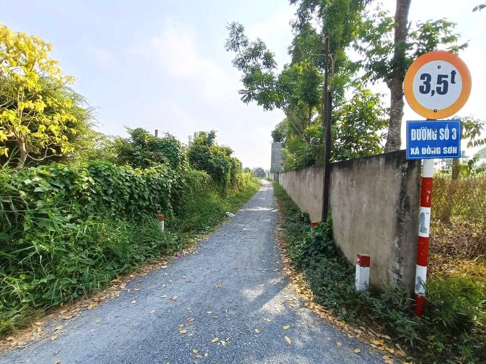 Đất nền Ấp Thạnh Thới 283m² giá 400 triệu - Sổ đỏ chính chủ!