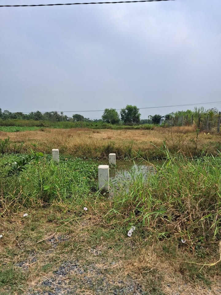 Đất nền Long Hưng, Gò Công 332m² giá 320 triệu - Tiềm năng tăng giá!