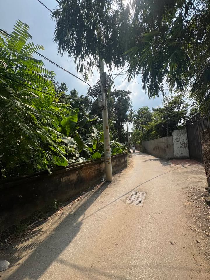 Đất nền Vạn Phúc Thanh Trì 42m² giá 3 tỷ - Sổ đỏ chính chủ!