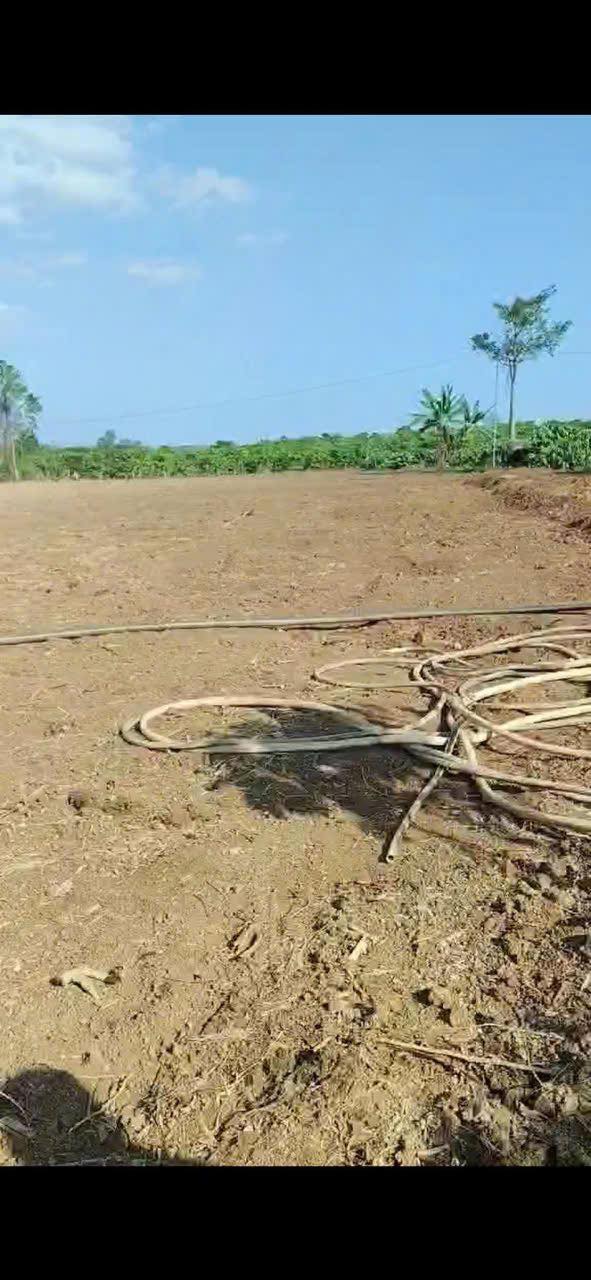 Đất Nền Lâm Hà 1368m² - Giá Rẻ Nhất Khu Vực - Sổ Hồng Sẵn Sàng