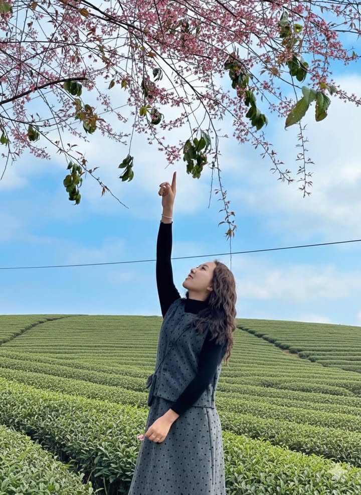 Đất nền Mộc Châu 200m² – Sổ đỏ chính chủ, view đồi chè đẹp!