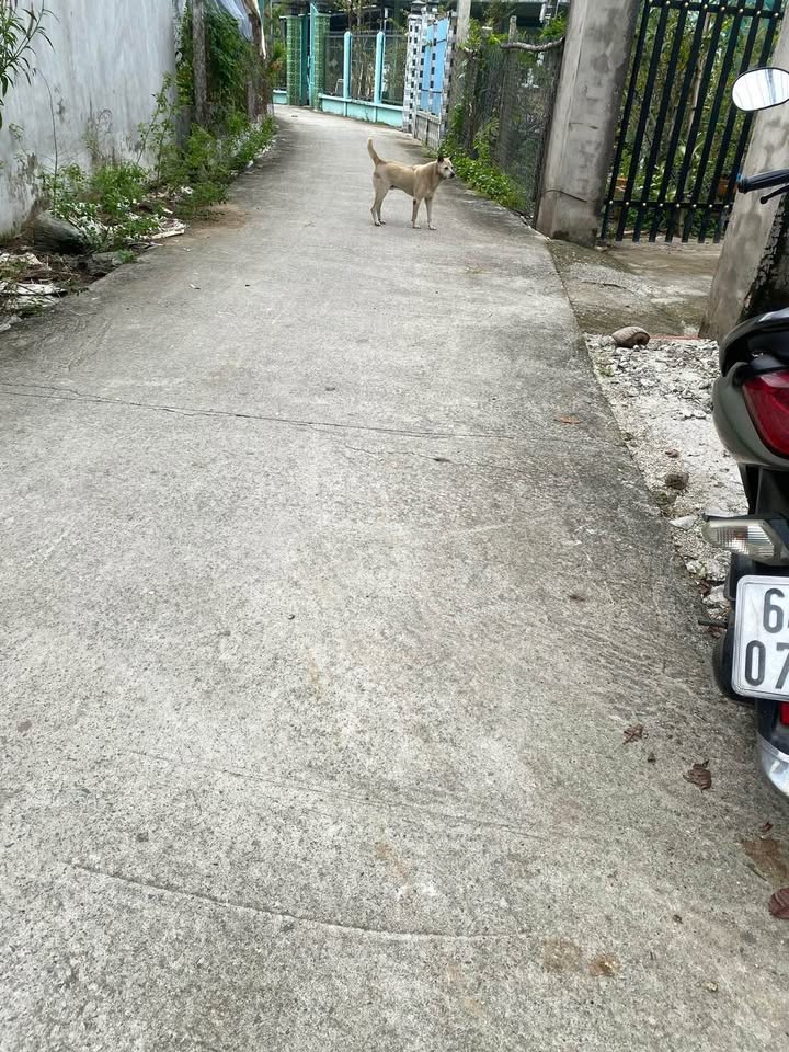 Nhà Phường Thanh Đức 73m² - 2PN, Sổ Hồng Riêng, Giá 600 Triệu