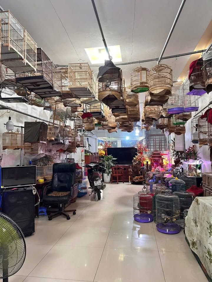 Nhà Mặt Tiền Trần Phú, Sa Pa 100m² - Kinh Doanh Đỉnh Cao, Giá 5.x Tỷ