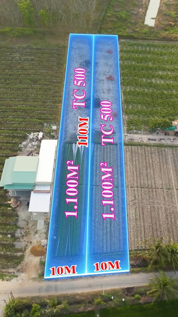 Đất Vườn 1100m² Xã Truông Mít, Tây Ninh - Gần KCN Phước Đông, Sẵn Sàng Khai Thác Dòng Tiền