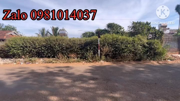 Đất nền 300m² mặt tiền Quang Trung, Chư Sê, Gia Lai - Giá đầu tư 45 tỷ