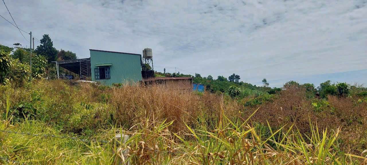 Bán Đất Vàng Bảo Lộc 1980m² - Hẻm Phùng Hưng, Lộc Tiến - View Thoáng Đẹp