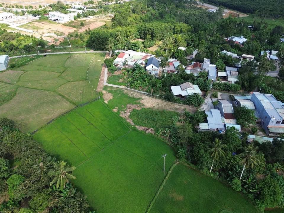 Đất Vườn Hòa Ninh 1700m² - View Đồng Mát Mẻ, Sổ Hồng Sẵn Sàng