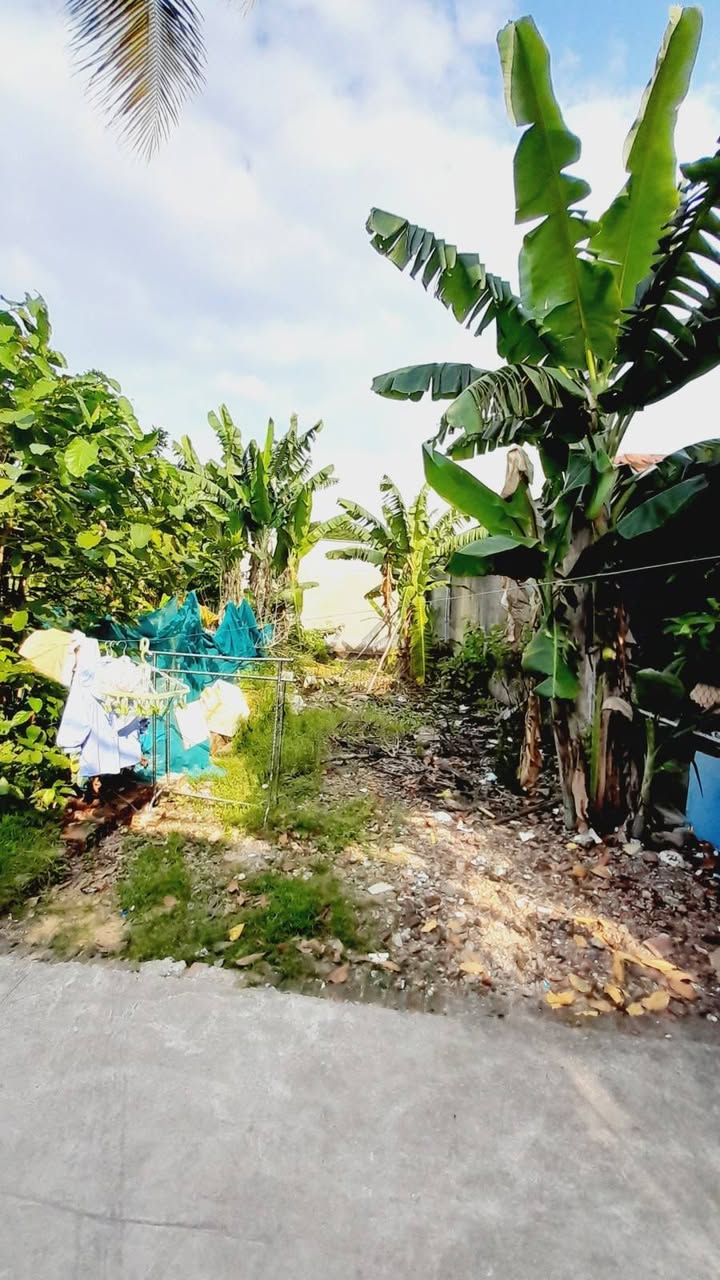 Bán Đất Thủ Đức 90m² - Sổ Riêng Vuông Vức - Giá 1.8 Tỷ