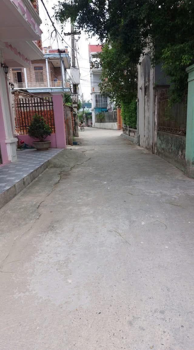 Bán Đất Tổ 11 Ý Yên, Nam Định - 145.2m² Sổ Đỏ Sẵn Sàng