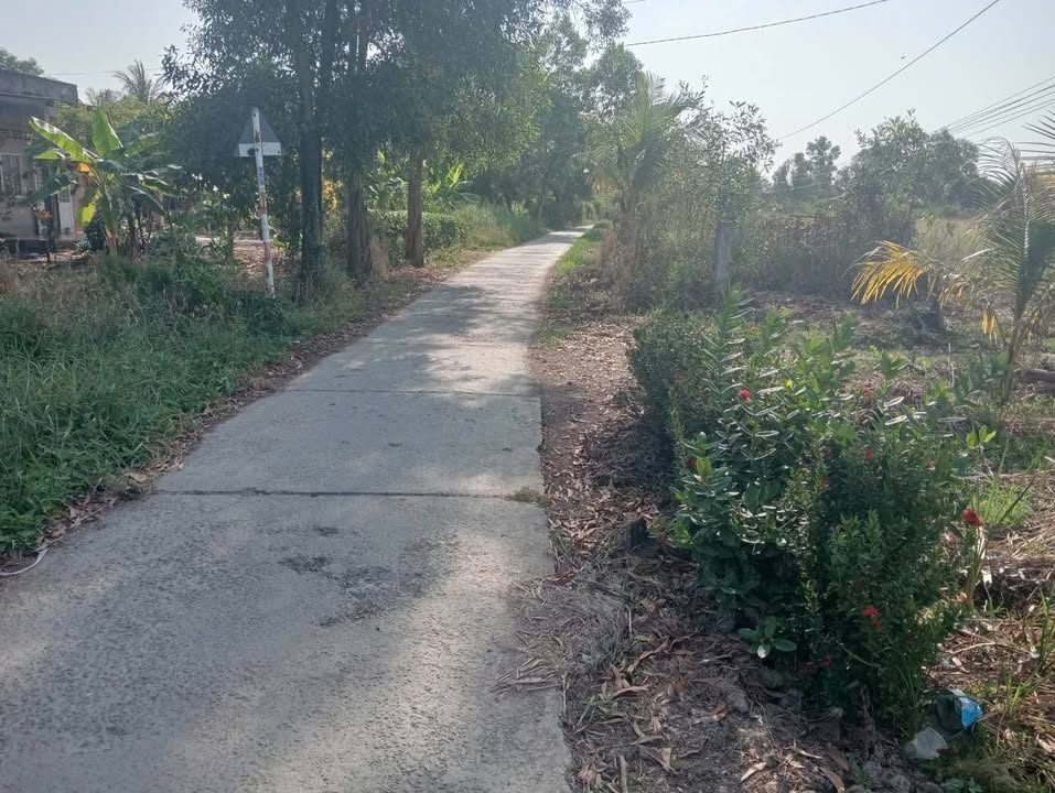 Đất Vườn Vàm Bướm Cà Mau 1600m² - 2 Mặt Tiền Sông & Lộ Nhựa, Giá 880 Triệu