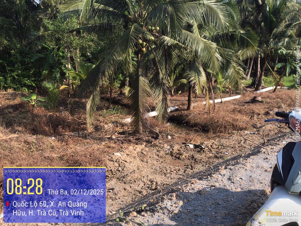 Bán Đất Mặt Tiền Cầu Đại Ngãi, Trà Vinh - 616m² Giá 1 Tỷ