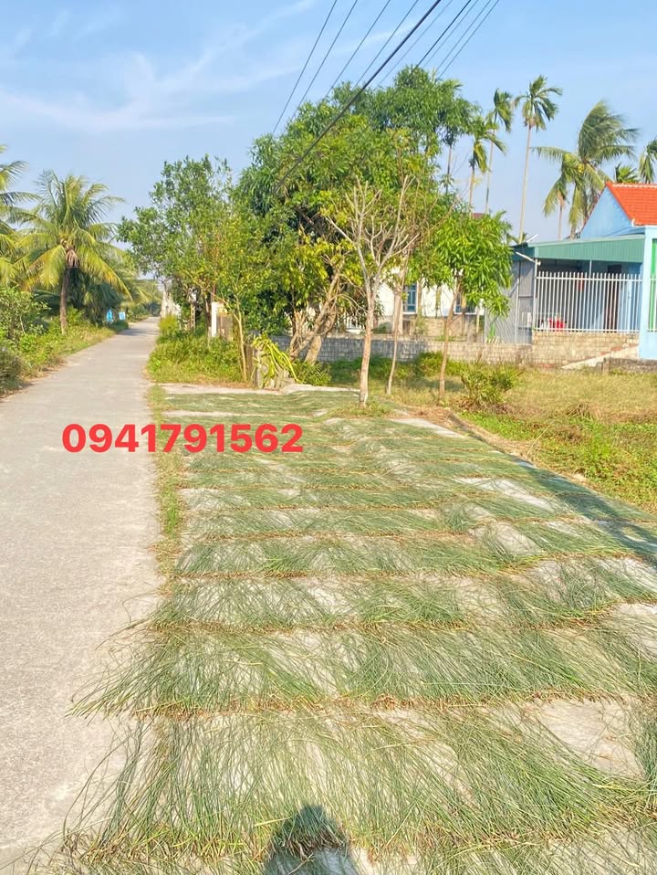 Đất Nền Nga Sơn 142m² - View Sông, Gần Biển, Giá Đầu Tư Tốt