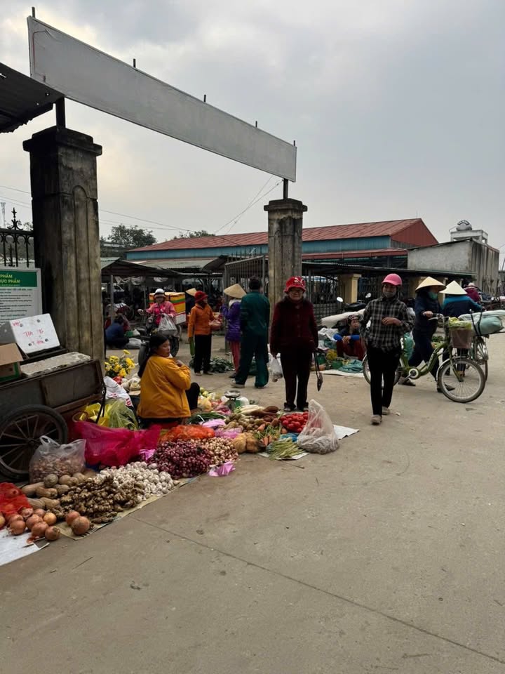 Đất nền Xã Thọ Vực Triệu Sơn 100m² chỉ 1 tỷ - Tiềm năng tăng giá vượt trội!