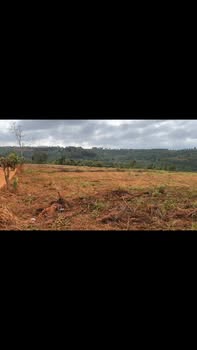 Bán 7.000m² đất đỏ Đắk Sắk, Đắk Mil giá 1.45 tỷ - Đầu tư dài hạn