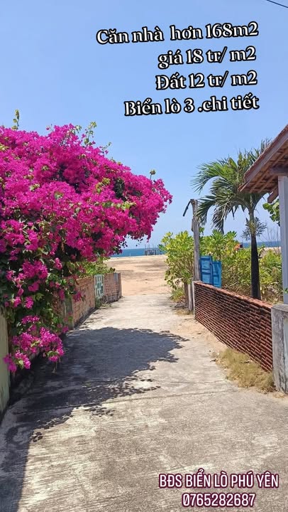 Bán Đất Biển Lò Phú Yên 300m² Sổ Hồng Thổ Cư - Cơ Hội Đầu Tư Vàng