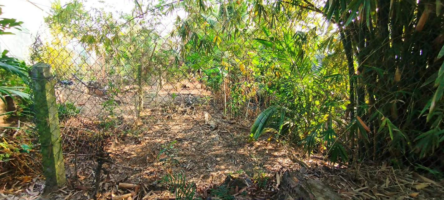 Đất nền Châu Thành Đồng Tháp 210m² - Đất thổ cư 100%