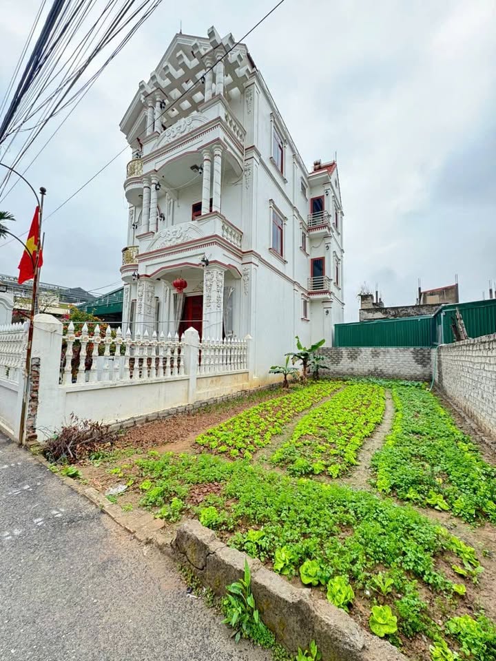 Nhà Phố Hòa Bình, Thường Tín 7.35 tỷ - Mặt tiền kinh doanh đắc địa!