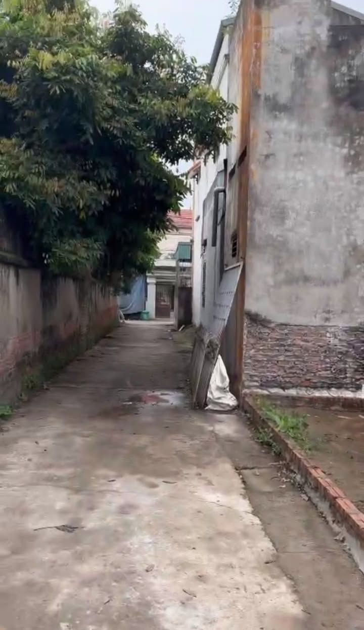 Đất Nền Chương Dương, Thường Tín 117m² - Sổ Đỏ Sẵn Sàng - Đầu Tư Sinh Lời