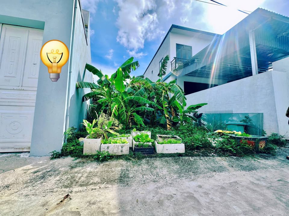 Bán đất 90m² Trục Đông-Định, Thanh Hóa - Sổ đỏ sẵn sàng