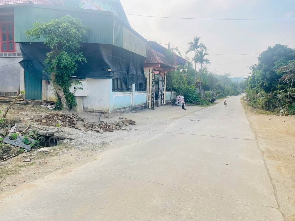 Đất nền Đa Phúc, Yên Thủy 435m² - Tiềm năng tăng giá vượt trội!