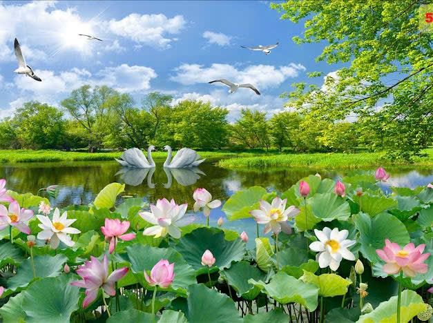 Đất Nền 1145m² Mặt Tiền Rộng Tại Thanh Nghị, Thanh Liêm, Hà Nam - Giá 750 Triệu