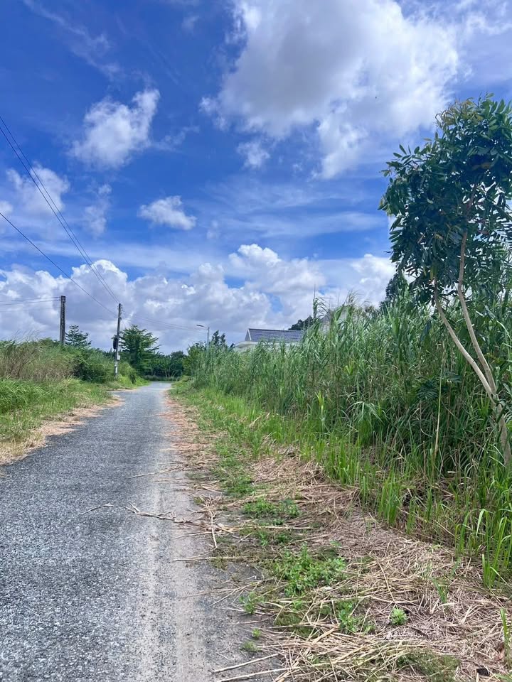 Đất nền Làng Giáo Viên Long Xuyên 128m² - Tiềm năng tăng giá!