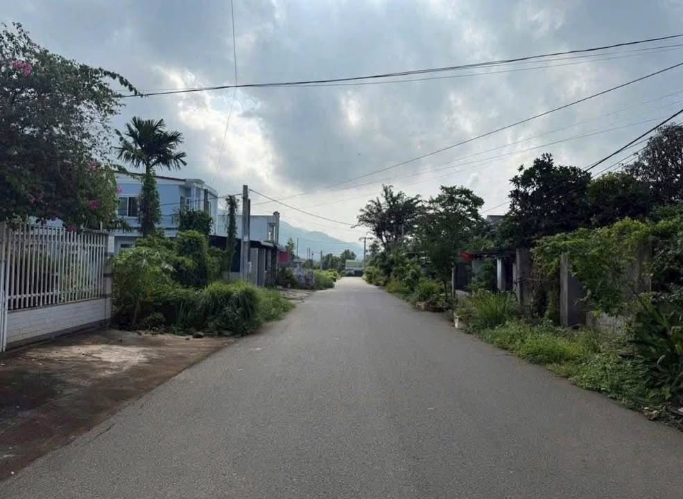 Đất nền Hòa Long Bà Rịa 100m² - Tiềm năng tăng giá vượt trội!