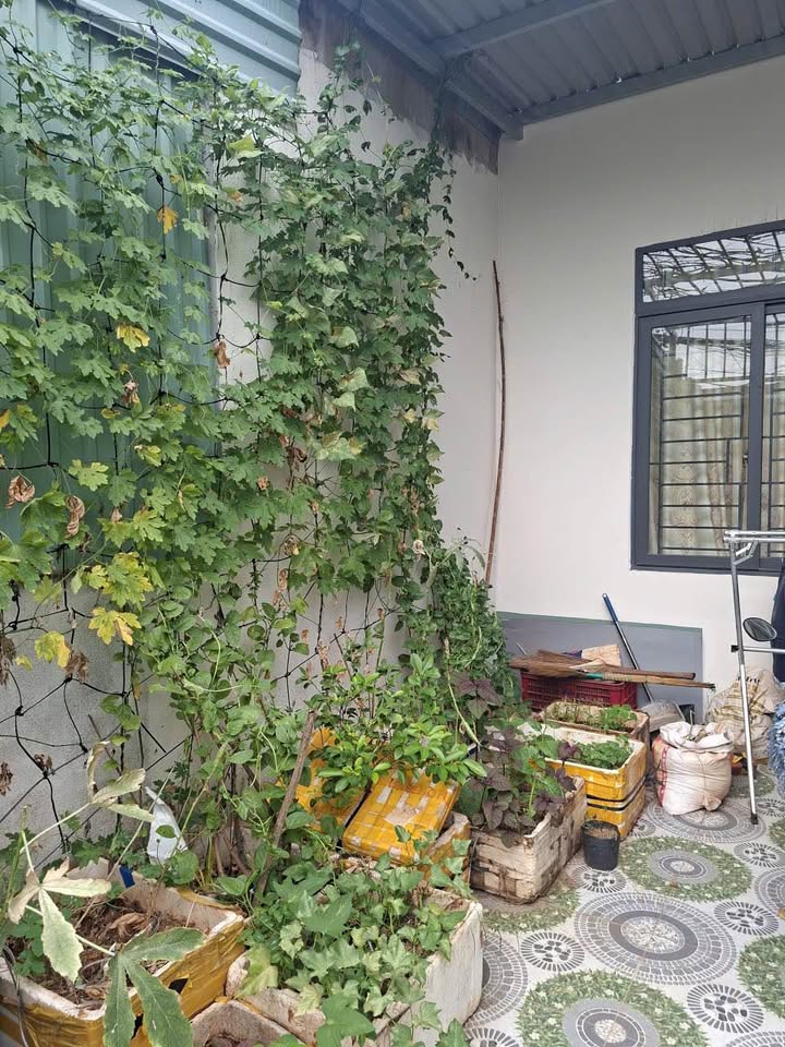 Nhà 2PN 2 Tầng Phường Rạch Dừa, Vũng Tàu - Hẻm Ô tô, Giá 5 Triệu/tháng