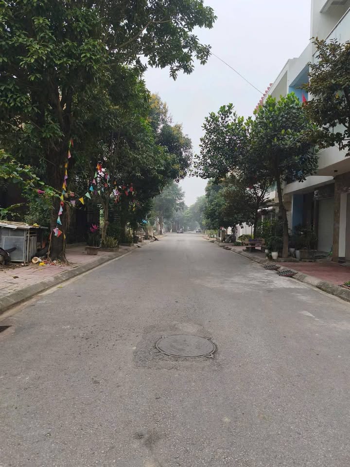 Đất Vĩnh Yên 104m² Hướng Nam - Vị Trí Đẹp, Giá Tốt