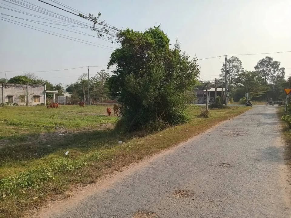 Bán Gấp Đất Vàng 24.93m Mặt Tiền Nhựa Gò Dầu - 4 Tỷ