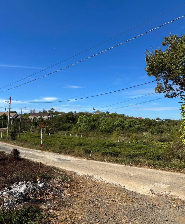 Đất Nền Lộc Ngãi, Bảo Lâm: 249m² Mặt Tiền Đường Bê Tông, Sẵn 104m² Thổ Cư