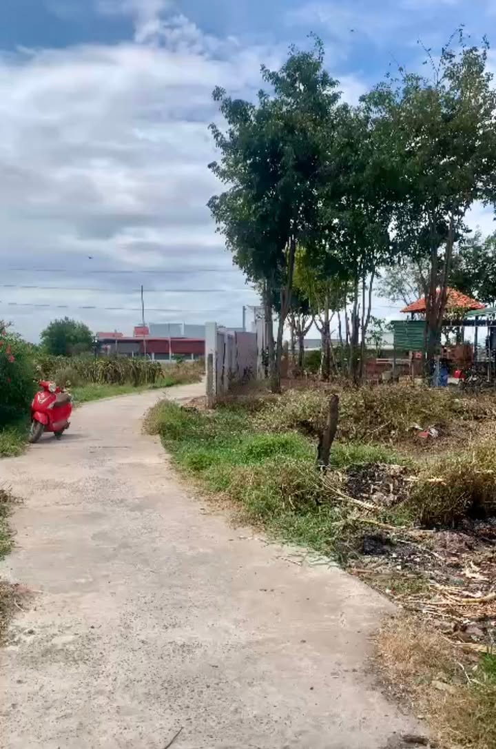 Đất Vườn 1000m² Sổ Đỏ Thổ Cư - Phan Thiết - Giá 1.6 Tỷ