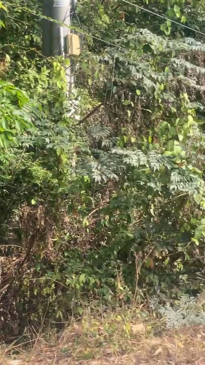 Bán Đất Mặt Tiền QL22B, Tây Ninh - 444.9m² - Vị Trí Vàng Kinh Doanh