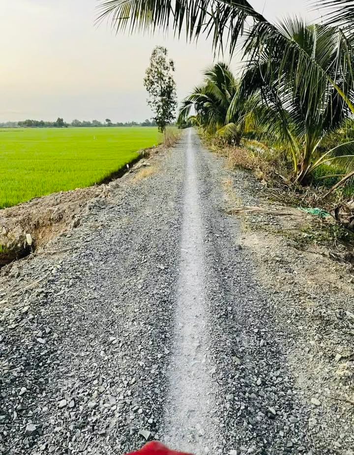 Đất nền Thủ Thừa, Long An 5600m² - Giá đầu tư tốt!