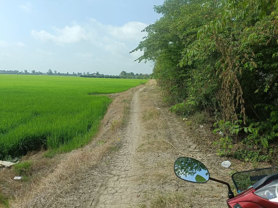 Đất Ruộng Bình Thành, Thoại Sơn 18.000m² - Tiềm năng tăng giá!