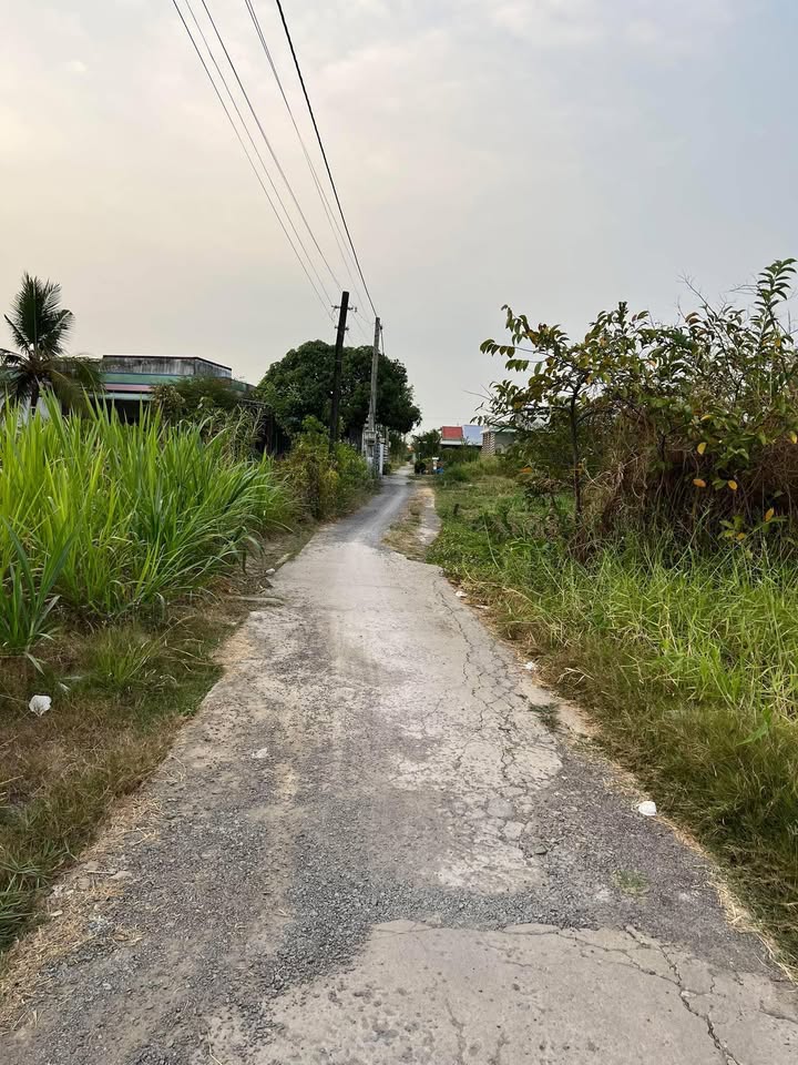 Đất nền TP. Gò Công 175m² giá 2xx triệu - Giá F0 CĐT cực hấp dẫn!