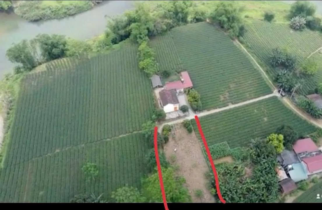 Đất nền Tân Sơn Phú Thọ 1288m² chỉ 600 triệu - Sổ đỏ chính chủ!