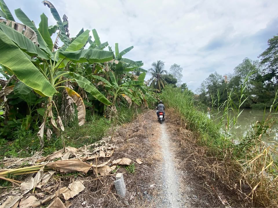 Bán Đất Phước Thới Ô Môn 602m² - Sổ Hồng Sẵn Sàng