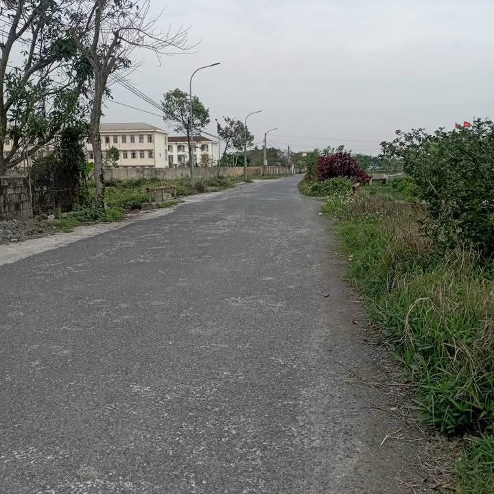 Đất nền Thái Ninh, Thái Thụy 125m² - Tiềm năng tăng giá vượt trội!