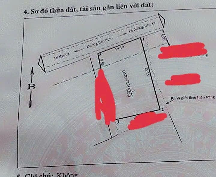 Bán Gấp Nhà Cấp 4 Vĩnh Phúc 343m² - Sẵn Sổ Hồng